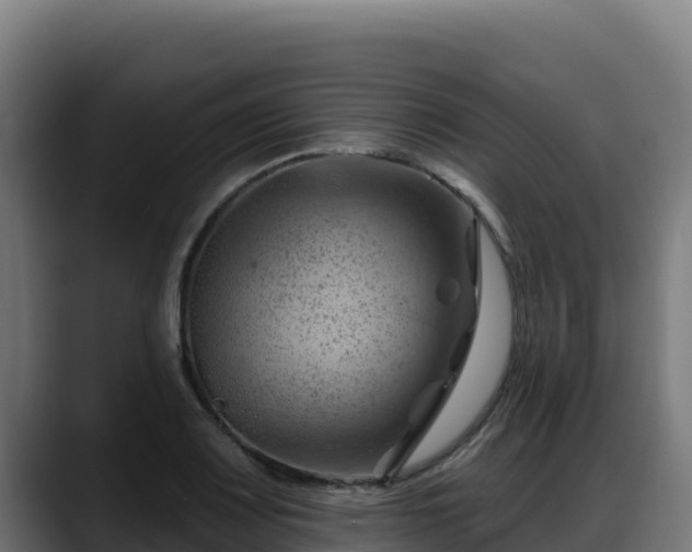X0000088381083200705291343