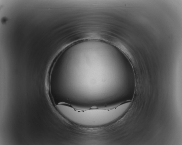 X0000088381084200705291343
