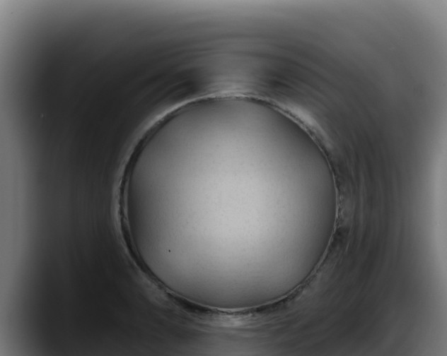 X0000088381086200705291343