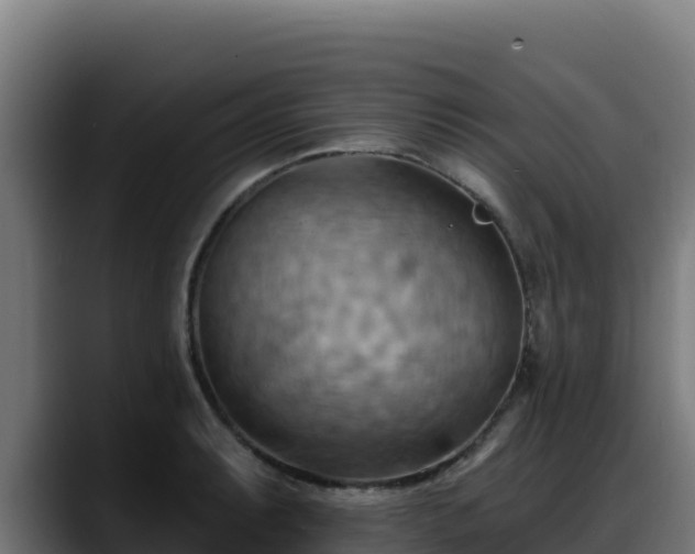 X0000088381087200705291343