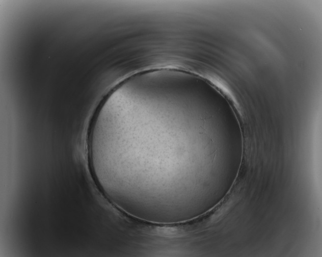 X0000088381088200705291343