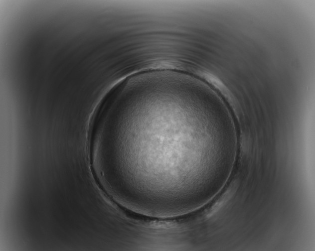 X0000088381089200705291343