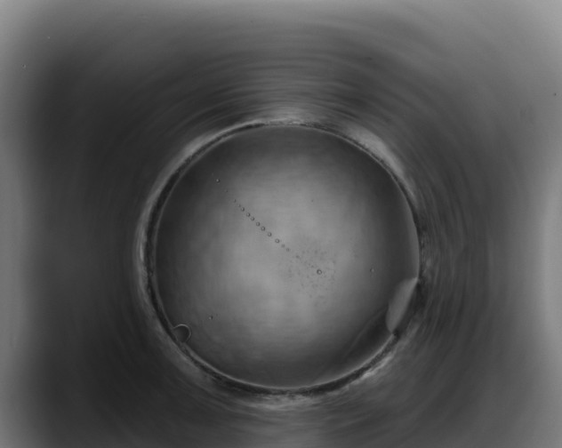 X0000088381091200705291343