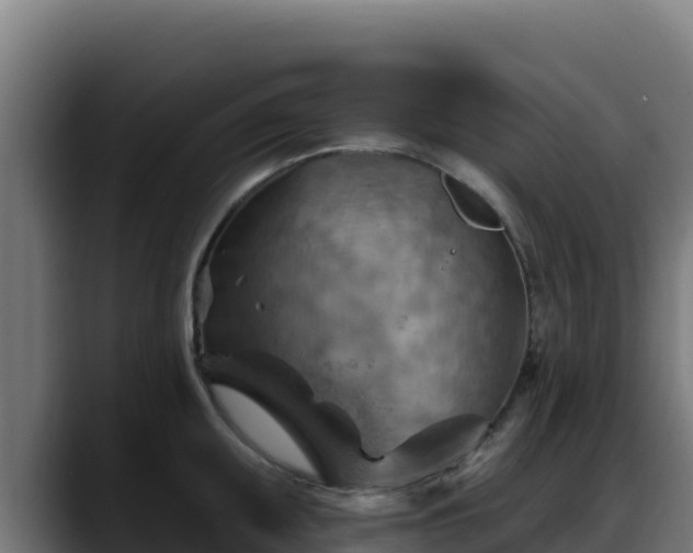 X0000088381095200705291343