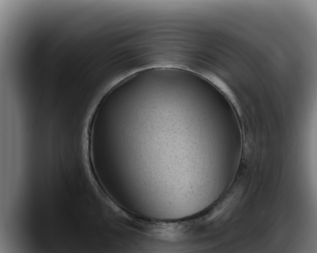 X0000088381096200705291343