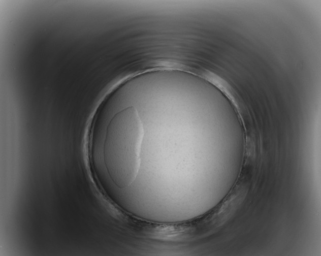 X0000088381098200705291343
