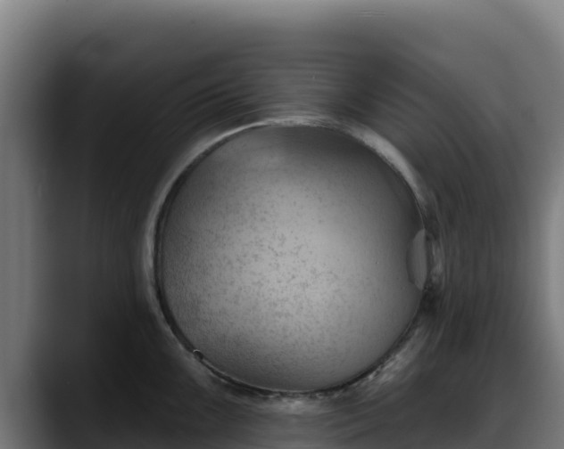 X0000088381099200705291343