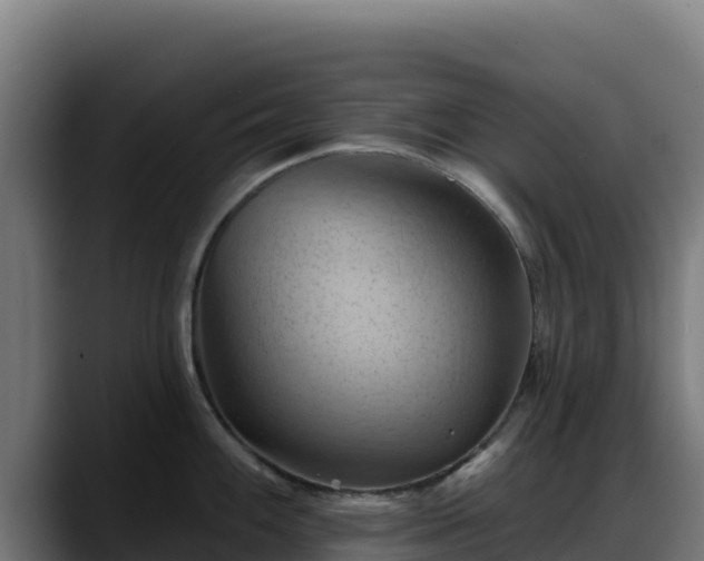 X0000088381100200705291343