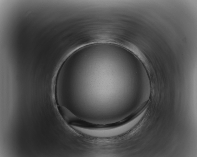 X0000088381102200705291343