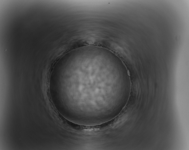 X0000088381105200705291342
