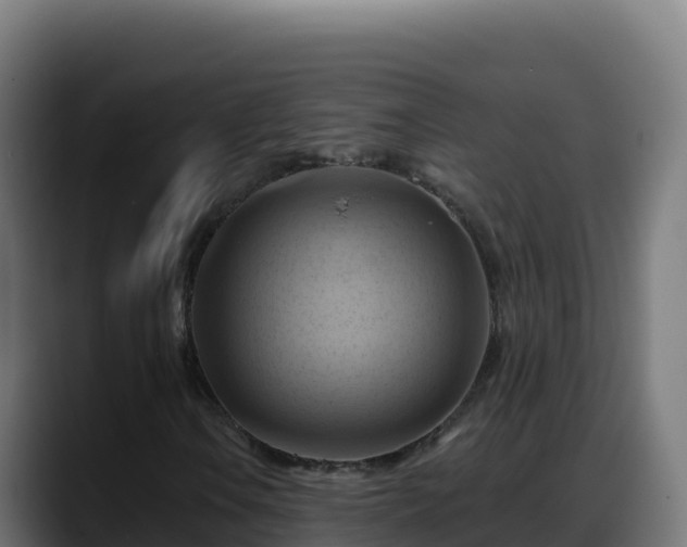 X0000088381106200705291342