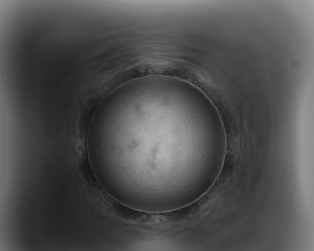 X0000088381109200705291342