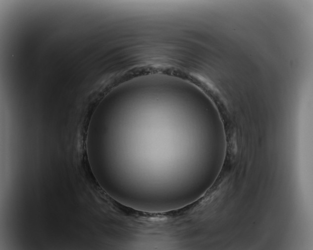 X0000088381110200705291342