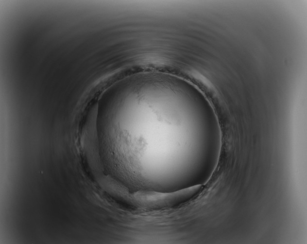 X0000088381112200705291342