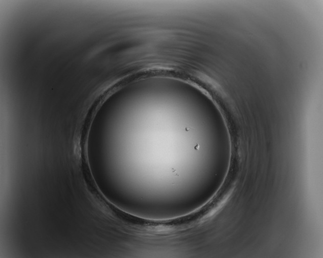 X0000088381113200705291342