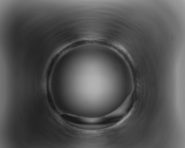 X0000088381114200705291342