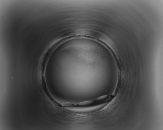 X0000088381115200705291342