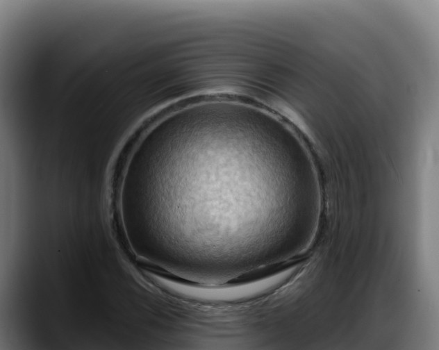 X0000088381116200705291342