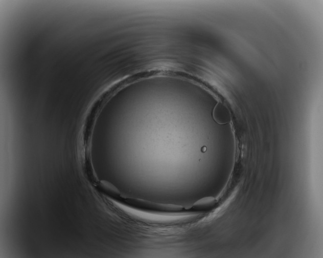 X0000088381117200705291342