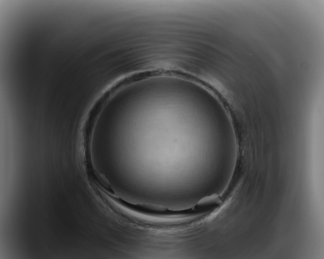 X0000088381118200705291342