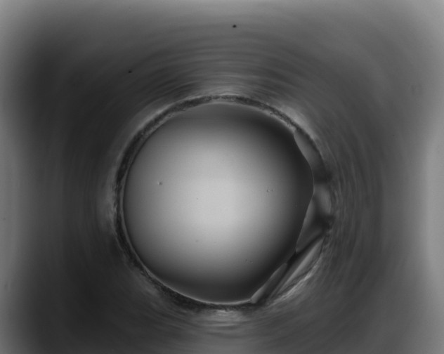 X0000088381119200705291342