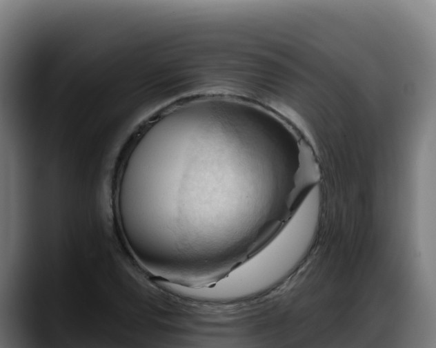 X0000088381120200705291342
