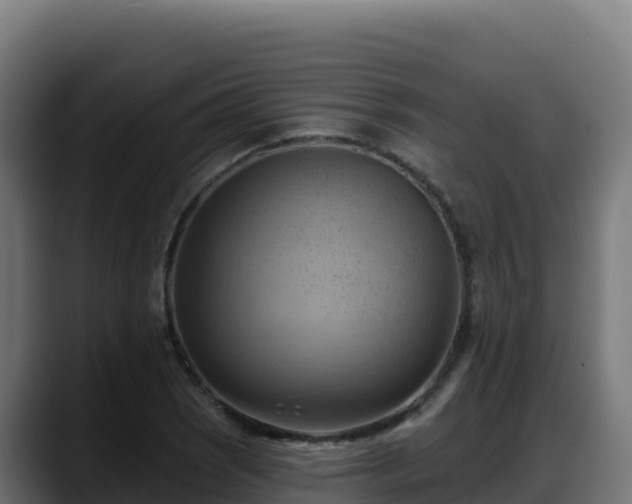 X0000088381121200705291342