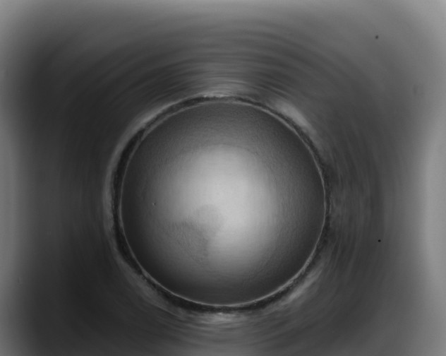 X0000088381122200705291342