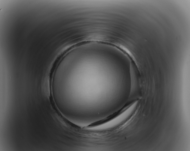X0000088381123200705291342