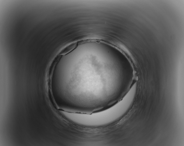 X0000088381124200705291342