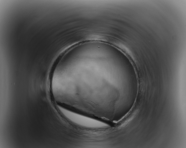 X0000088381125200705291342