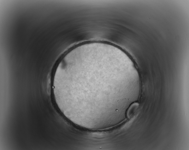 X0000088381126200705291342