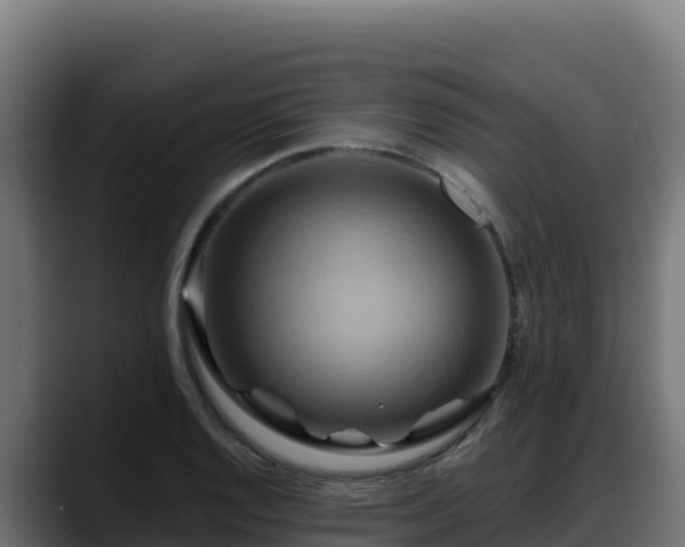 X0000088381128200705291342