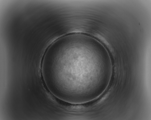 X0000088381129200705291342