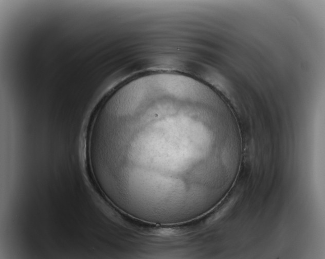 X0000088381130200705291342