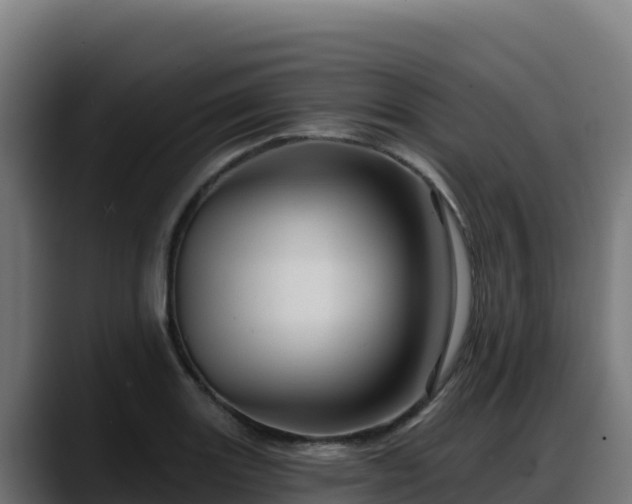 X0000088381131200705291342