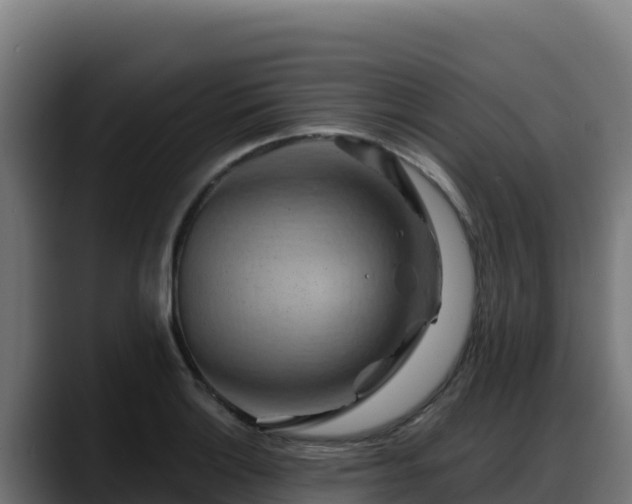 X0000088381132200705291342
