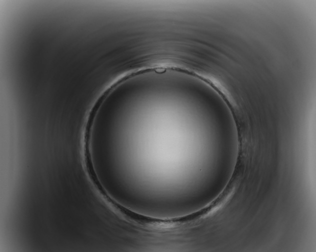 X0000088381134200705291342