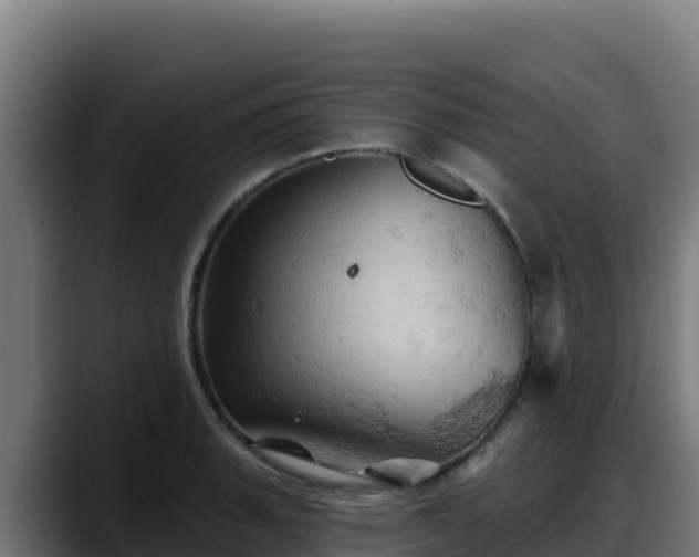 X0000088381135200705291342