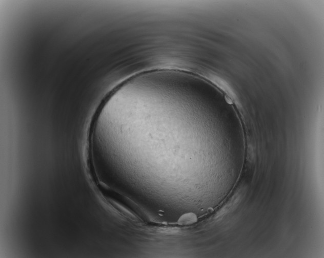 X0000088381136200705291342