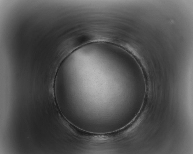 X0000088381137200705291342
