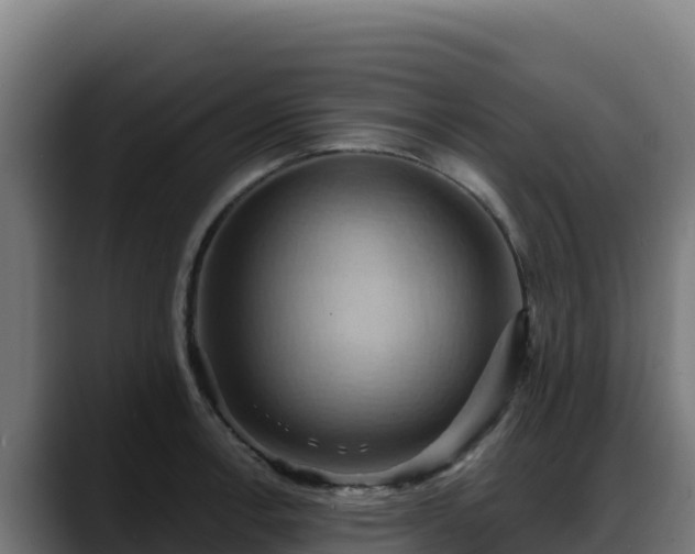 X0000088381138200705291342