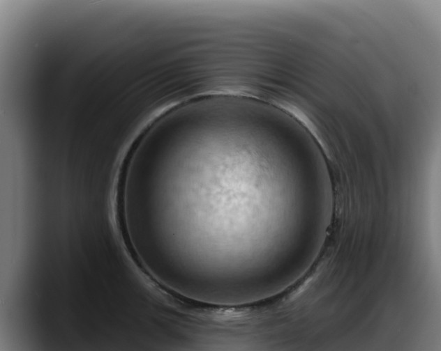 X0000088381139200705291342