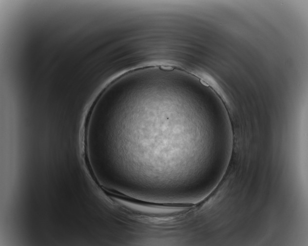 X0000088381140200705291342