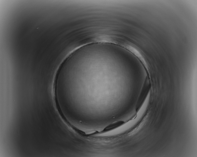 X0000088381141200705291342