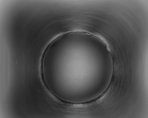 X0000088381142200705291342