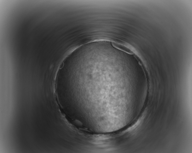X0000088381145200705291342