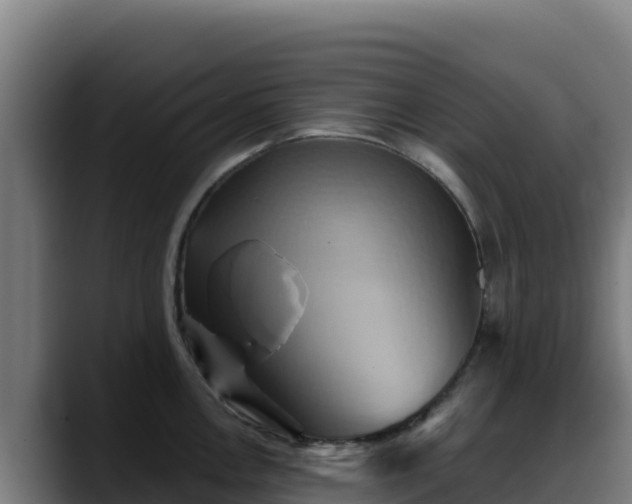 X0000088381146200705291342