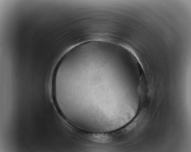 X0000088381147200705291342