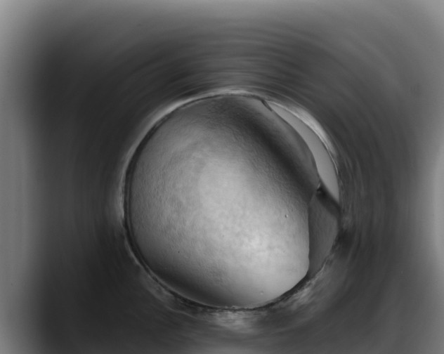 X0000088381148200705291342